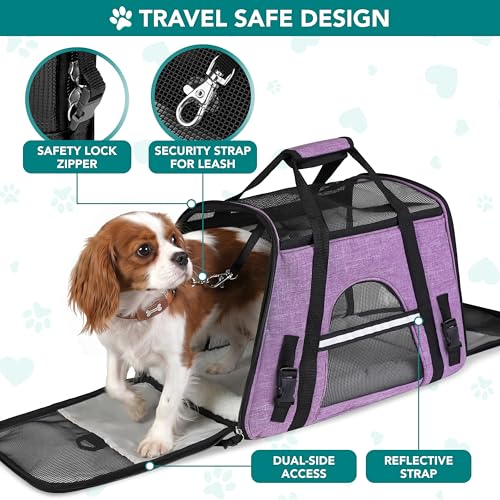 PetAmi Airline Approved Soft Sided Pet Carrier for Cats & Small Dogs - Up to 18 lbs, Heather Purple