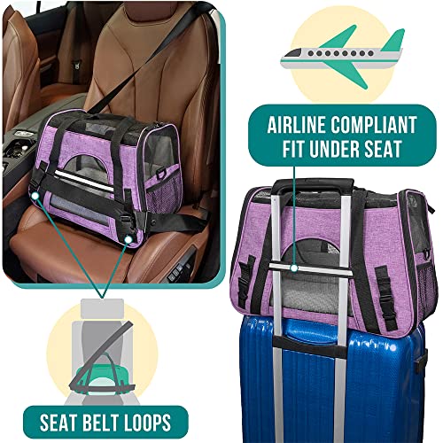 PetAmi Airline Approved Soft Sided Pet Carrier for Cats & Small Dogs - Up to 18 lbs, Heather Purple