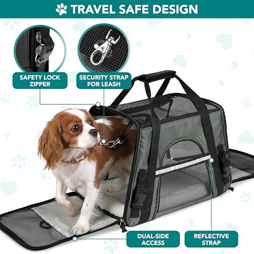 PetAmi Airline Approved Soft Sided Pet Carrier for Small Dogs & Cats - Dark Gray, Up to 18 lbs, Fits Under Seat
