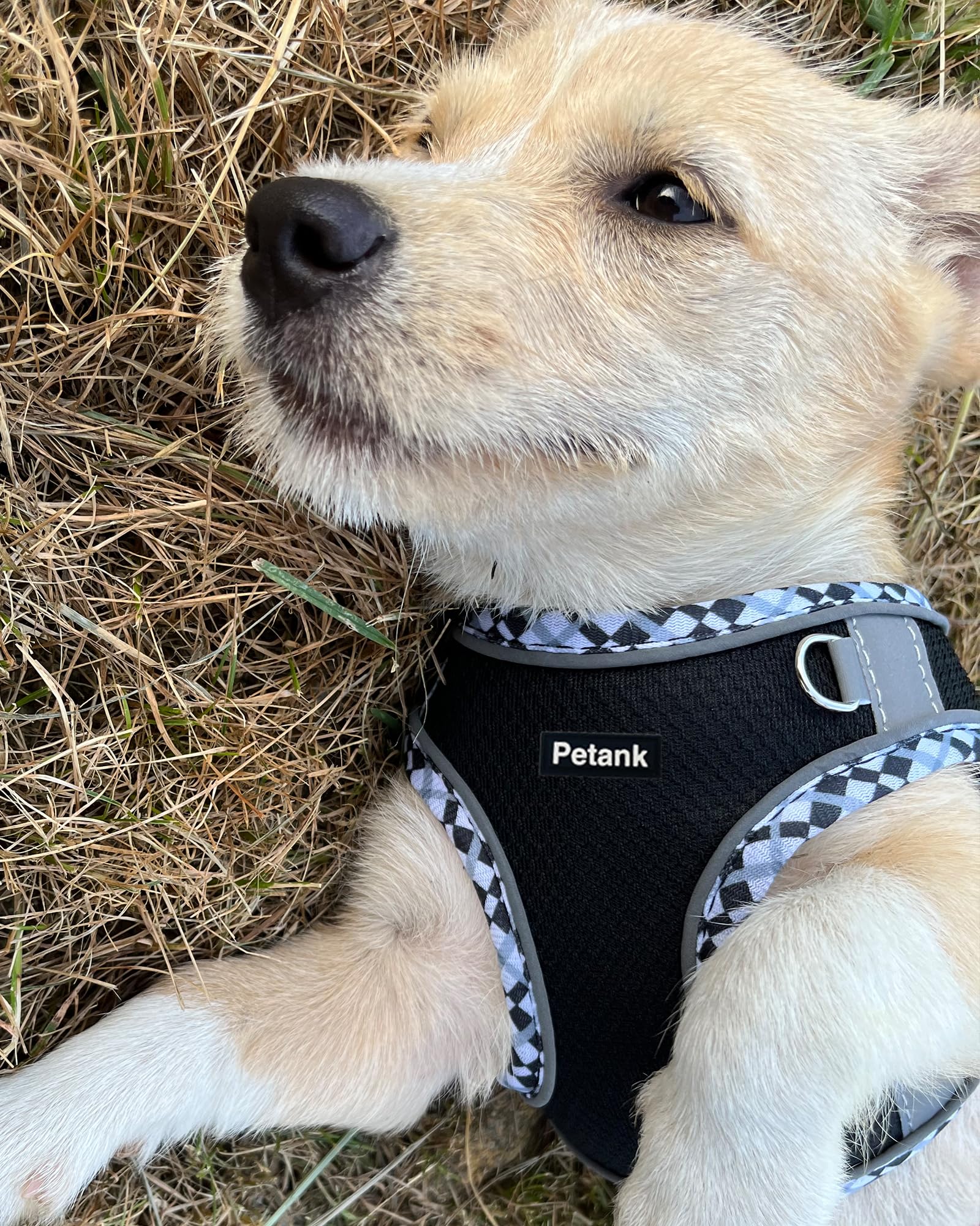 Petank Medium Dog Harness (Black, Size M) – Breathable Jacquard Fabric, Reflective Strip, Step-in Design for Training and Walks