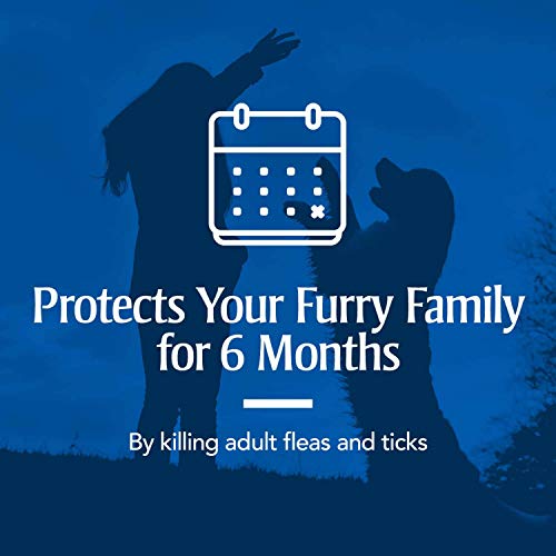 PetArmor Dog Flea and Tick Collar – 6 Months of Water-Resistant Protection, Adjustable for All Sizes