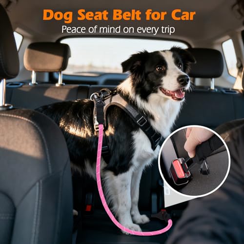 PetBonus Dog Seat Belt for Car - 38" Durable Nylon Rope Tether with Lockable Clip, Reflective Strip, 200 lbs Capacity, Pink