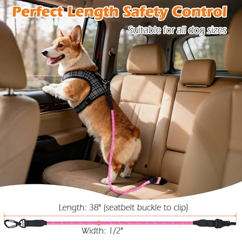 PetBonus Dog Seat Belt for Car - 38" Durable Nylon Rope Tether with Lockable Clip, Reflective Strip, 200 lbs Capacity, Pink