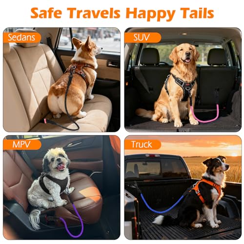 PetBonus Dog Seat Belt for Car - 38" Durable Nylon Rope Tether with Lockable Clip, Reflective Strip, 200 lbs Capacity, Pink