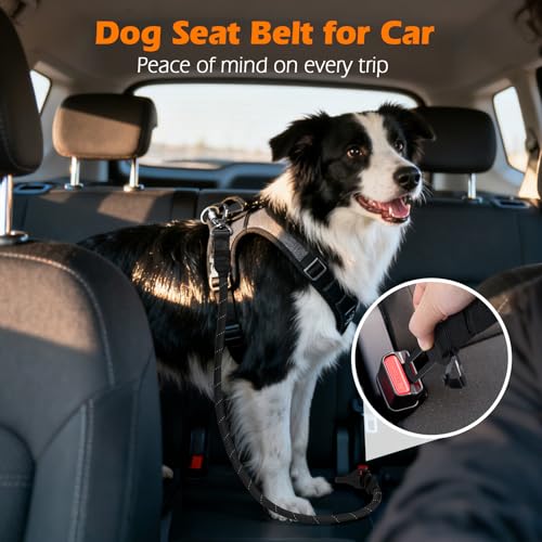 PetBonus Dog Seat Belt for Car - 38-Inch Nylon Tether with Lockable Carabiner, 360° Swivel, Reflective, Supports Up to 200 lbs (Black)