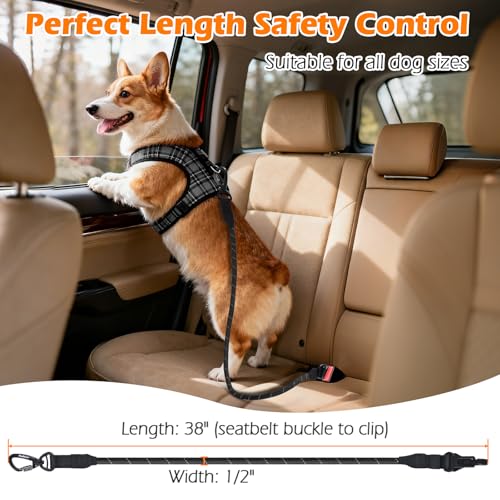 PetBonus Dog Seat Belt for Car - 38-Inch Nylon Tether with Lockable Carabiner, 360° Swivel, Reflective, Supports Up to 200 lbs (Black)