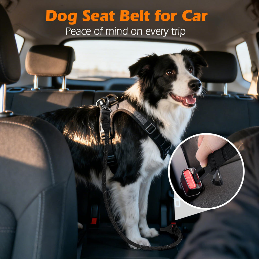 PetBonus Dog Seat Belt for Car - 38-Inch Nylon Tether with Lockable Carabiner, 360° Swivel, Reflective, Supports Up to 200 lbs (Black)
