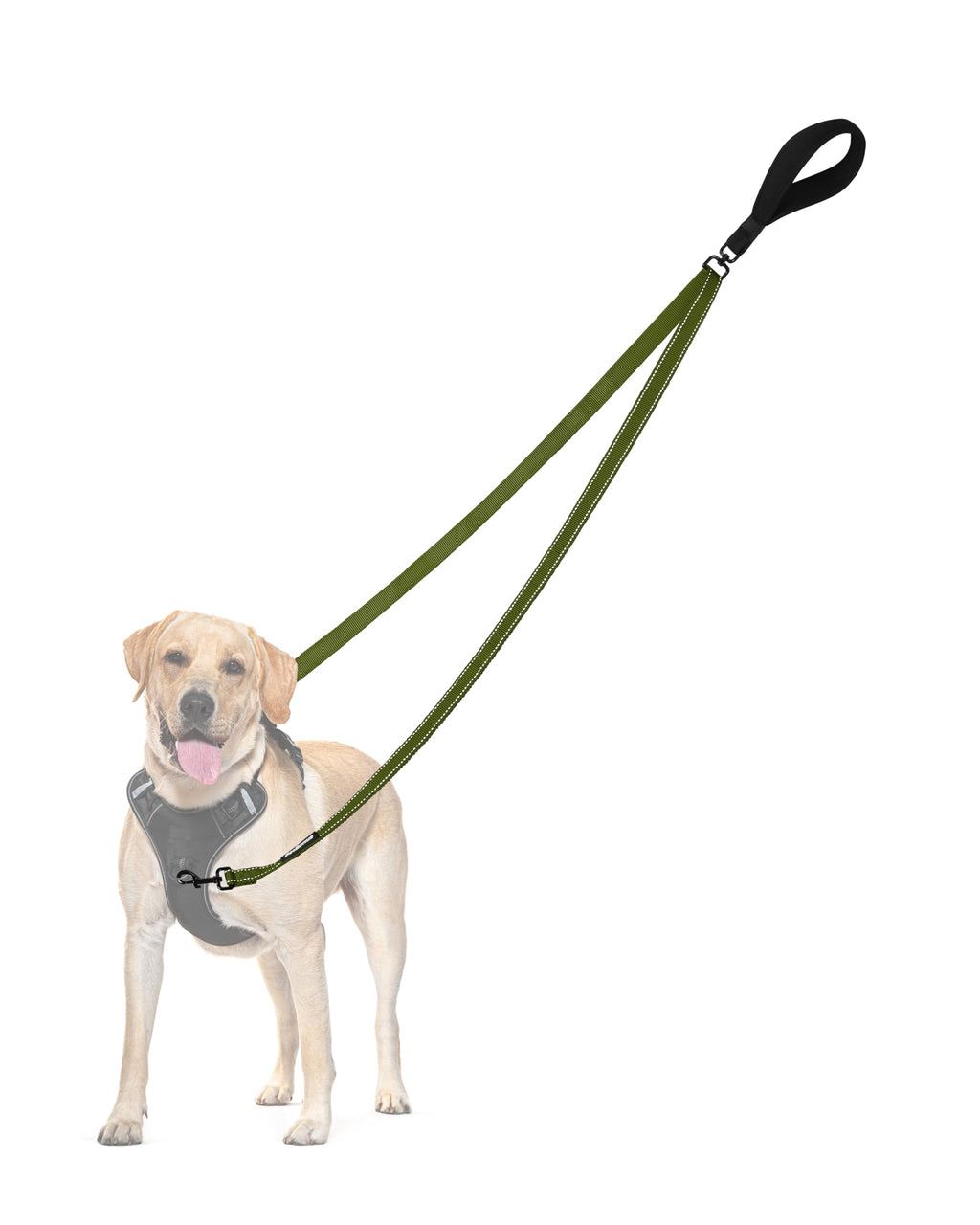 PetBonus Two Point Control Dog Leash 4ft - Khaki Green, No Pull Training Leash with Reflective Stitching