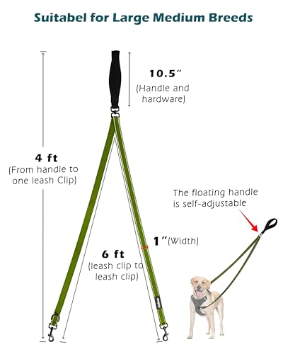 PetBonus Two Point Control Dog Leash 4ft - Khaki Green, No Pull Training Leash with Reflective Stitching
