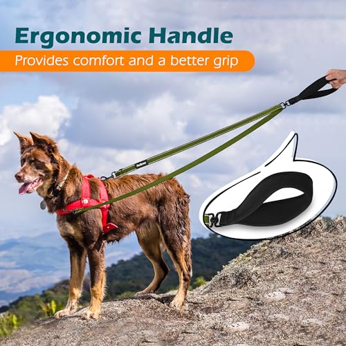 PetBonus Two Point Control Dog Leash 4ft - Khaki Green, No Pull Training Leash with Reflective Stitching