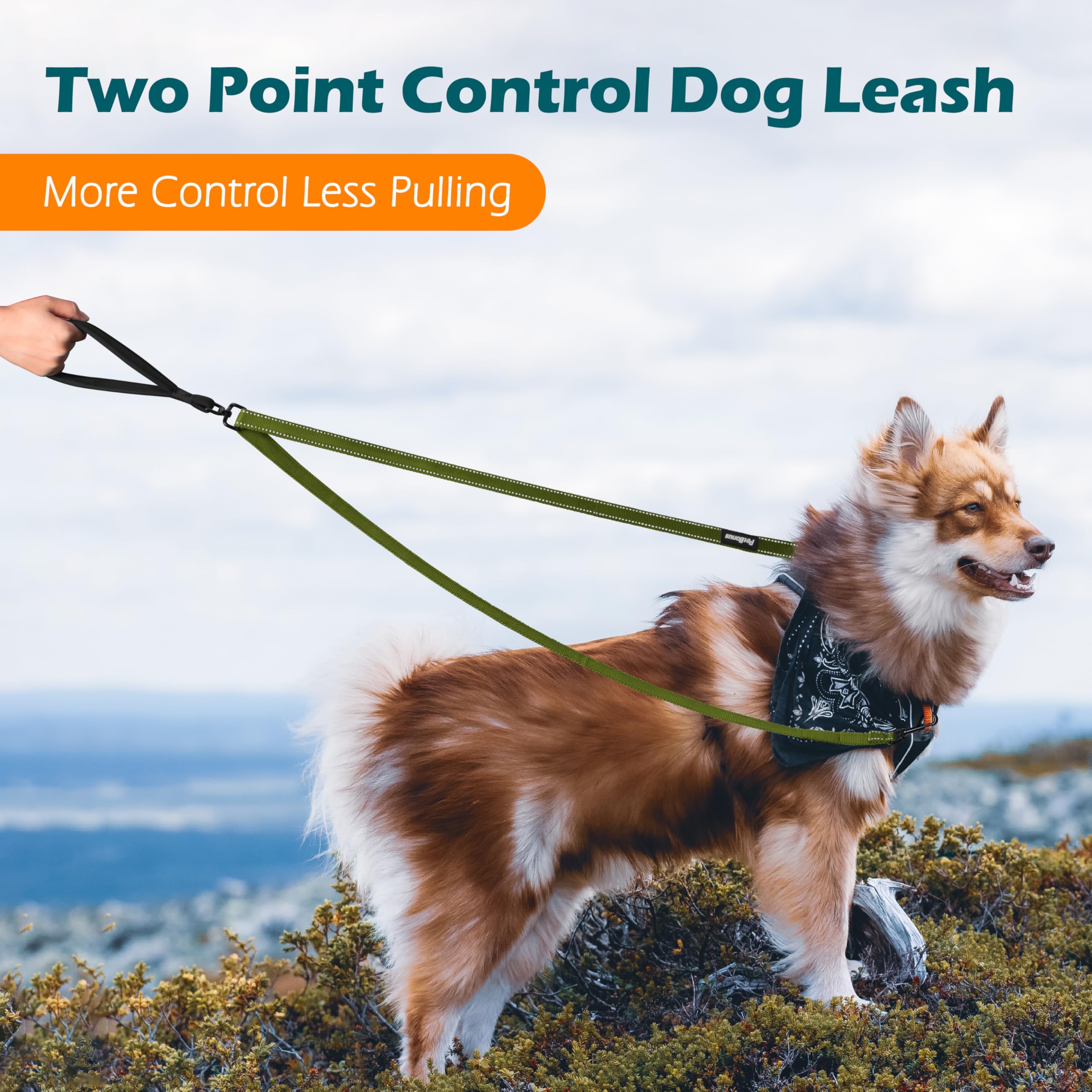 PetBonus Two Point Control Dog Leash 4ft - Khaki Green, No Pull Training Leash with Reflective Stitching