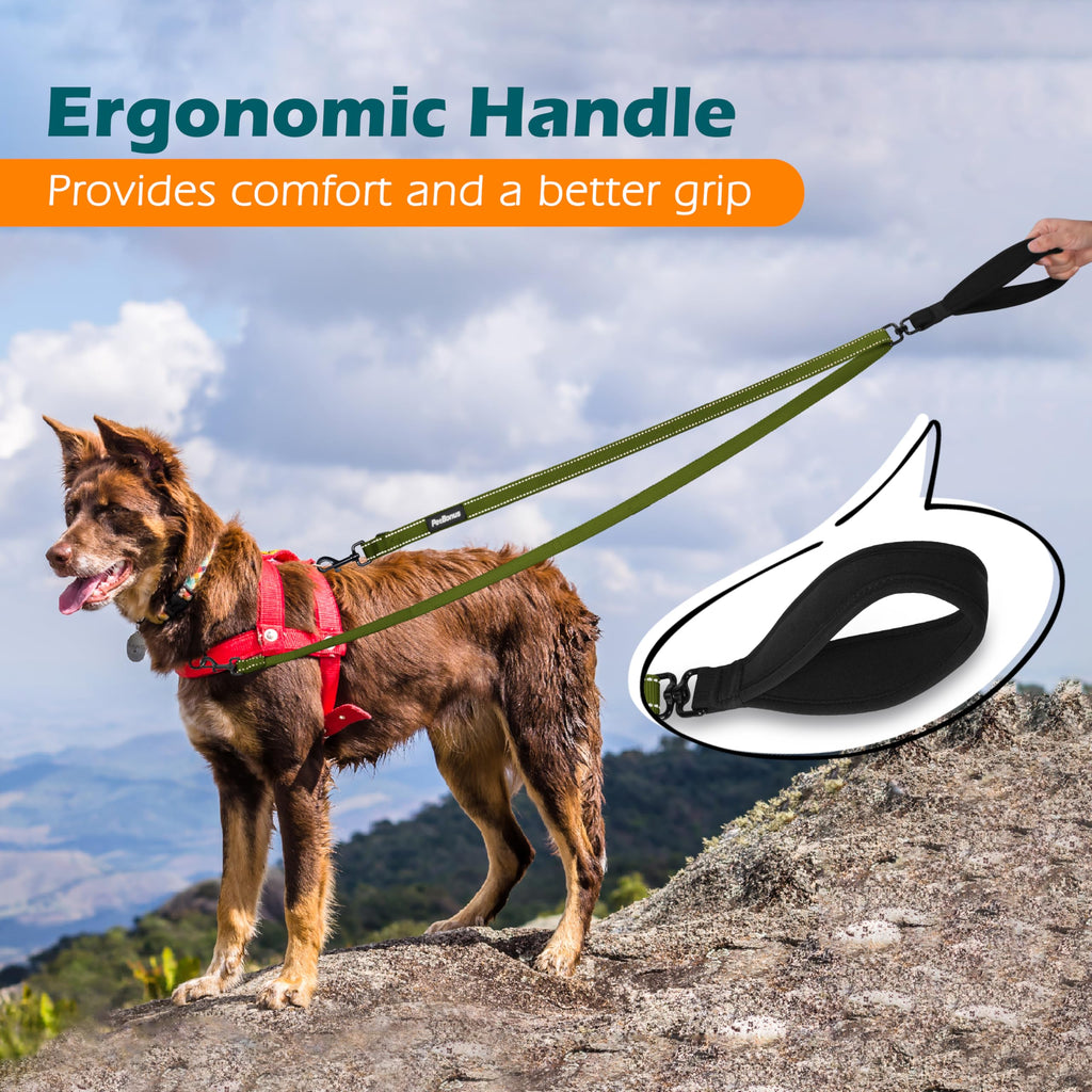 PetBonus Two Point Control Dog Leash 4ft - Khaki Green, No Pull Training Leash with Reflective Stitching