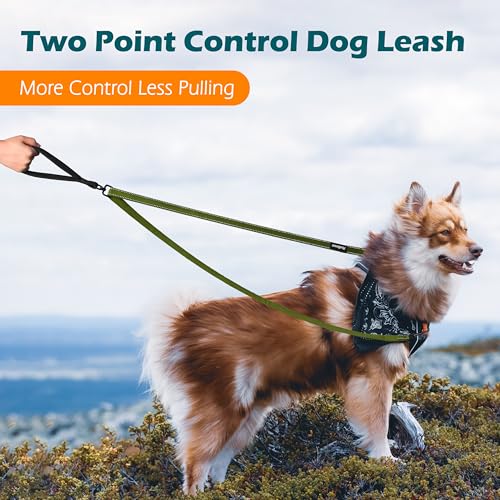 PetBonus Two Point Control Dog Leash 4ft - Khaki Green, No Pull Training Leash with Reflective Stitching