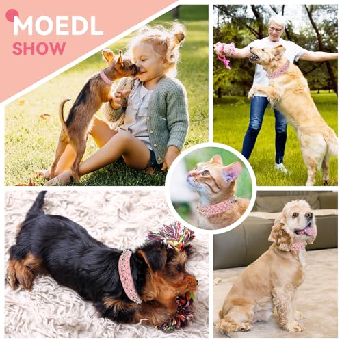Petcare Pink Spiked Dog Collar – Adjustable PU Leather with Rivets for Small to Large Dogs and Cats