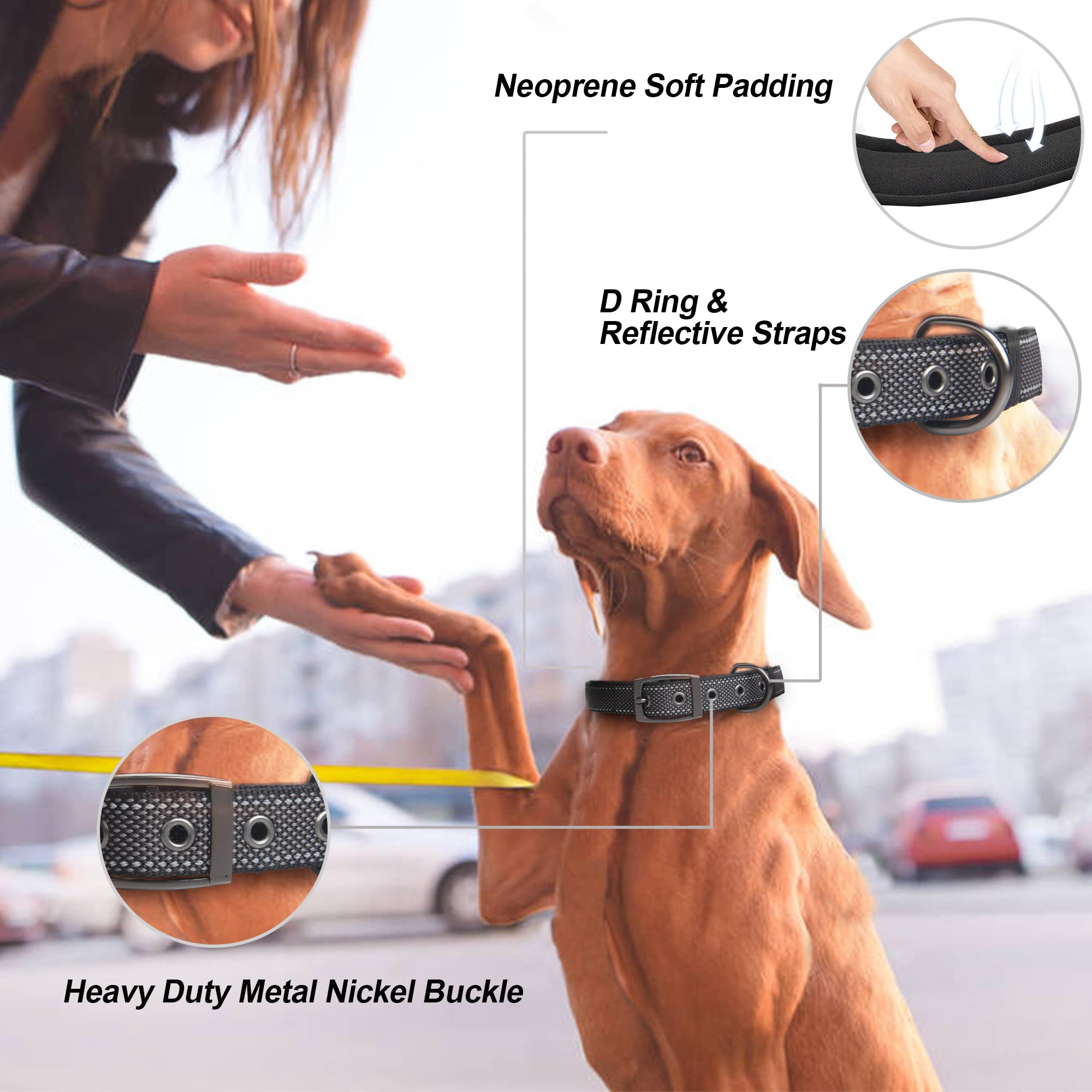 PetiFine Heavy Duty Dog Collar for Large Dogs - Neoprene Padded Reflective Metal Buckle - Black Size L