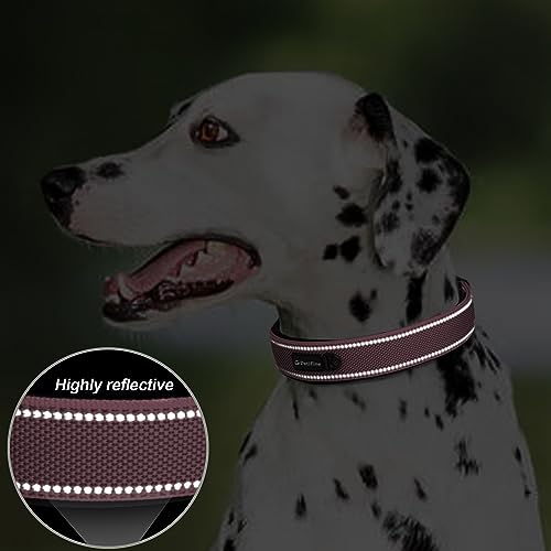 PetiFine Heavy Duty Dog Collar for Large Dogs - Neoprene Padded, Reflective, Stainless Steel Buckle - Pink, Size L