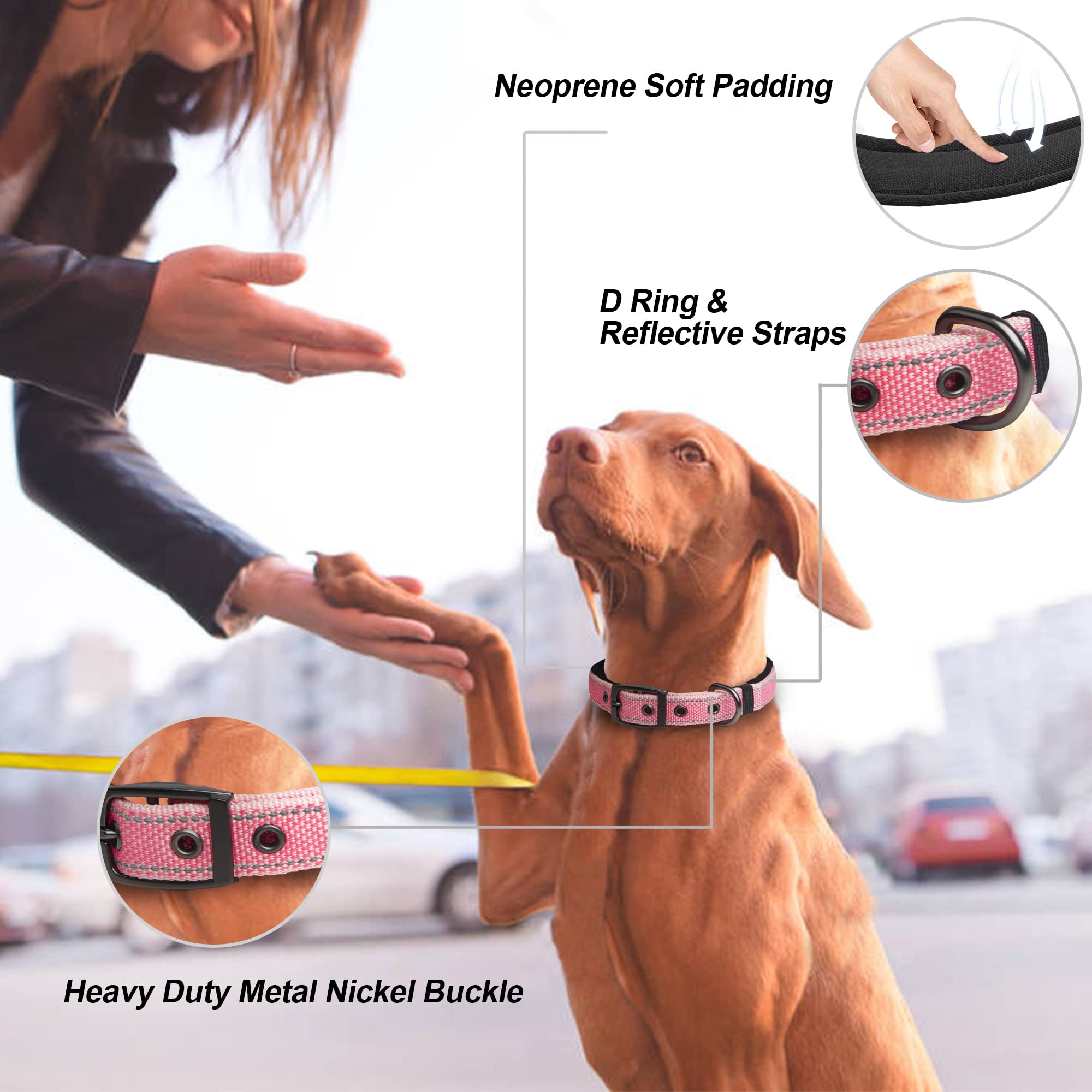 PetiFine Heavy Duty Dog Collar for Large Dogs - Neoprene Padded, Reflective, Stainless Steel Buckle - Pink, Size L