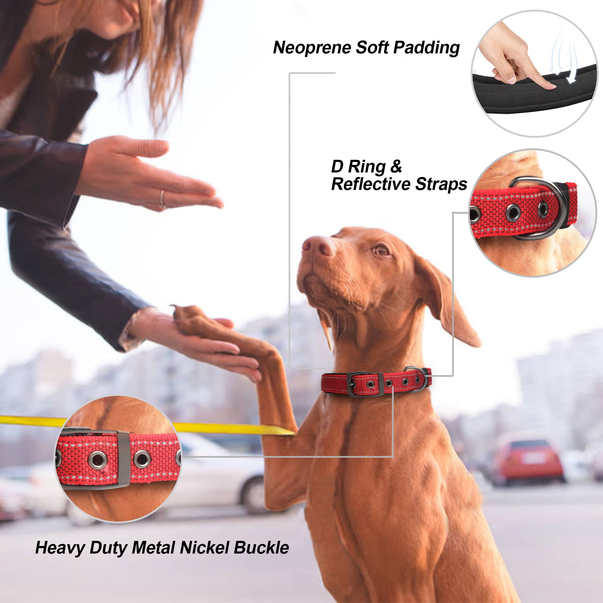 PetiFine Red Neoprene Padded Dog Collar for Large Breeds - Reflective, Heavy Duty with Metal Buckle