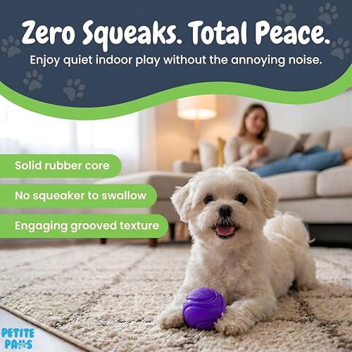Petite Paws SuperFetch Dog Balls 1.5 Inch No Squeak Toy for Small Dogs Puppies - 6 Pack with Colors and Mesh Bag