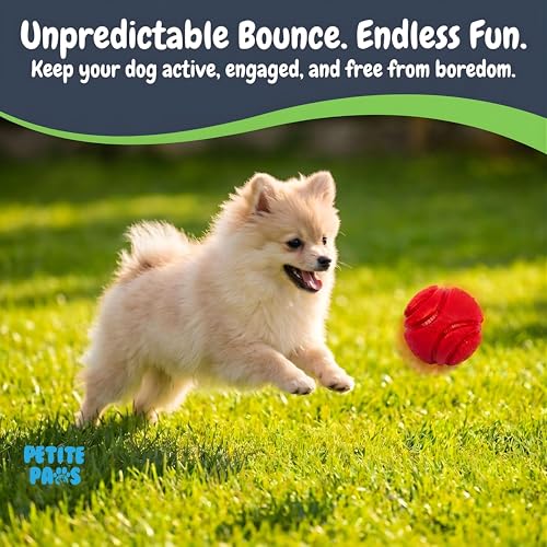 Petite Paws SuperFetch Dog Balls 1.5 Inch No Squeak Toy for Small Dogs Puppies - 6 Pack with Colors and Mesh Bag