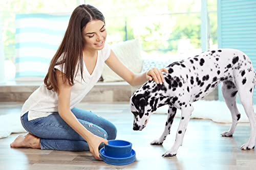 PetLike Ants Away Dog Bowls – No Spill Moat Design, 24oz Set of 2, Non-Slip, Dishwasher Safe