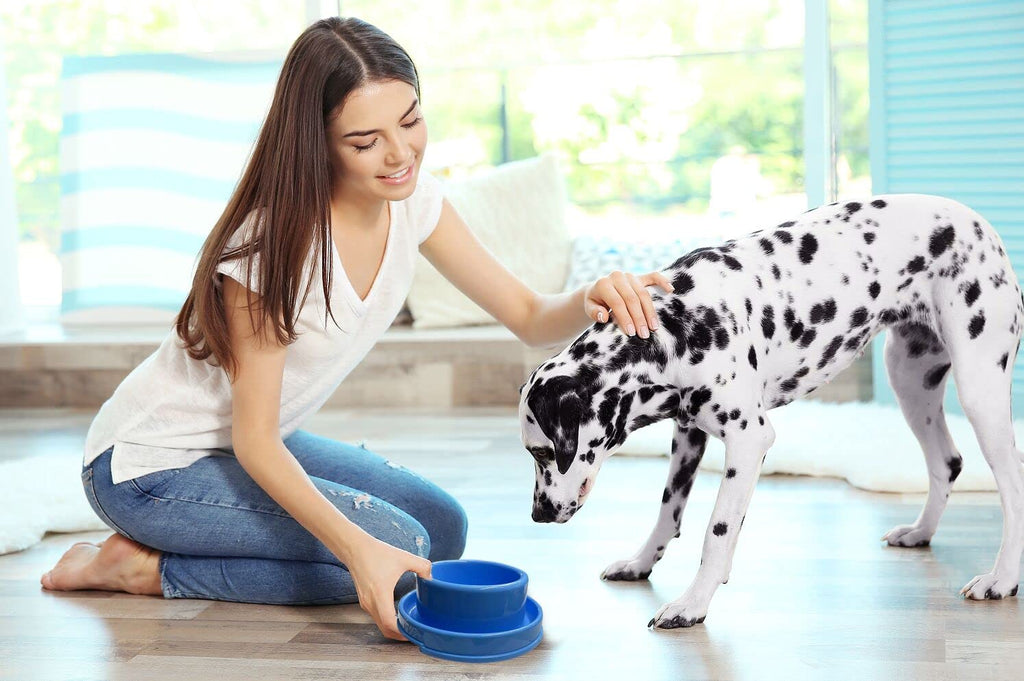 PetLike Ants Away Dog Bowls – No Spill Moat Design, 24oz Set of 2, Non-Slip, Dishwasher Safe