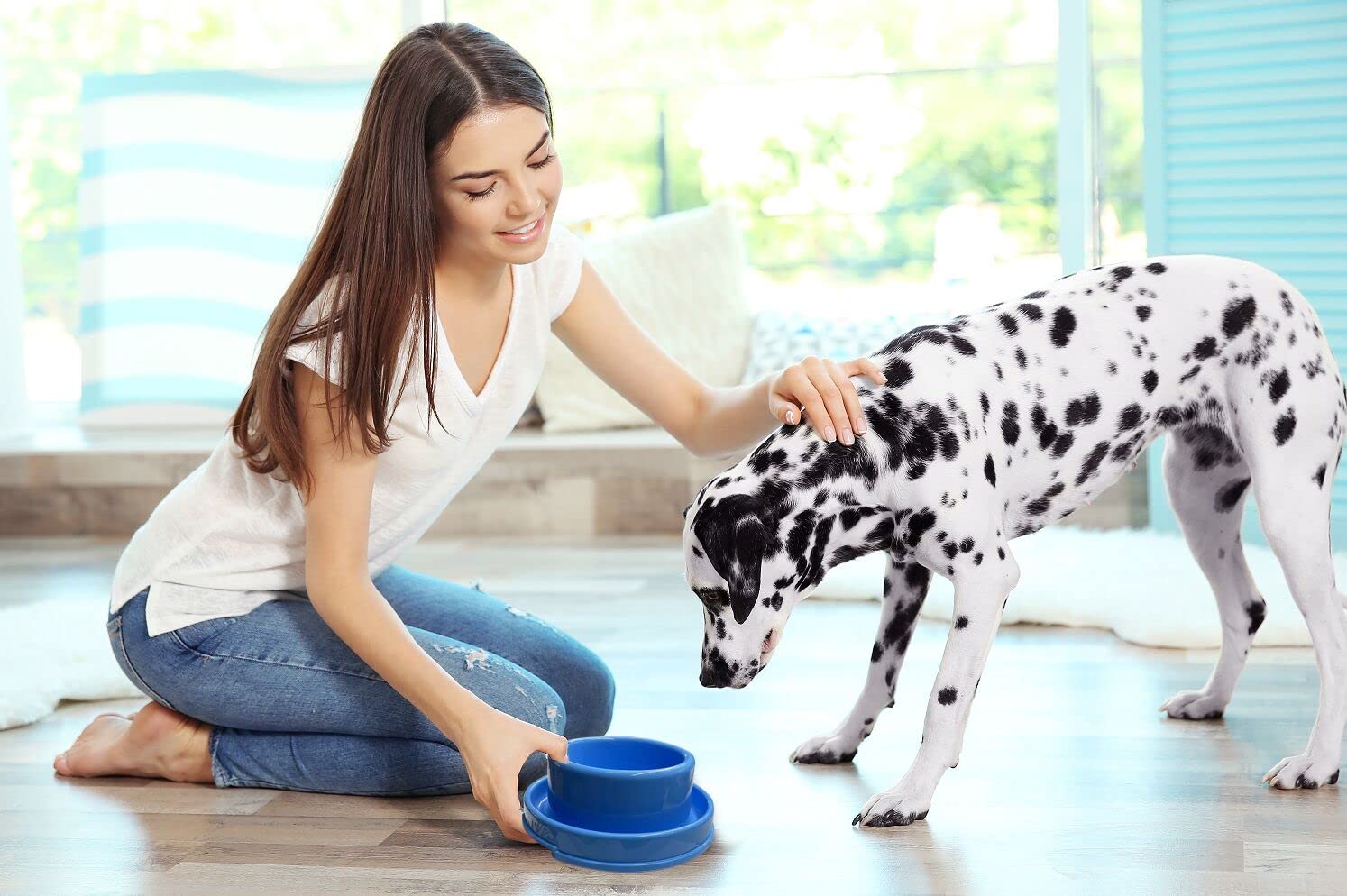 PetLike Ants Away Dog Bowls – No Spill Moat Design, 24oz Set of 2, Non-Slip, Dishwasher Safe
