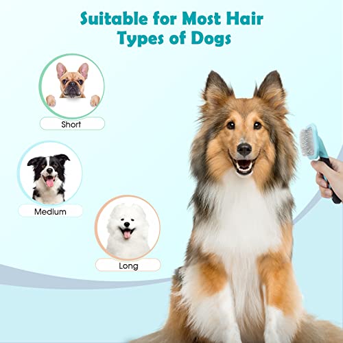 PETPAWJOY Rotatable Slicker Brush for Dogs and Cats – Gently Removes Loose Undercoat & Tangles, Blue
