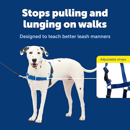 PetSafe Easy Walk No-Pull Dog Harness - Royal Blue Medium/Large - Front Clip Martingale Design for Pull-Free Walks