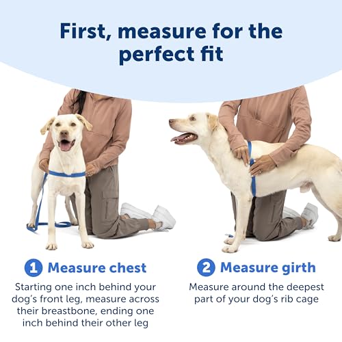 PetSafe Easy Walk No-Pull Dog Harness - Royal Blue Medium/Large - Front Clip Martingale Design for Pull-Free Walks