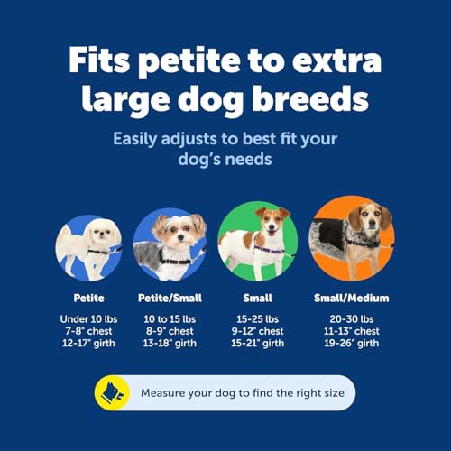 PetSafe Easy Walk No-Pull Dog Harness - Royal Blue Medium/Large - Front Clip Martingale Design for Pull-Free Walks