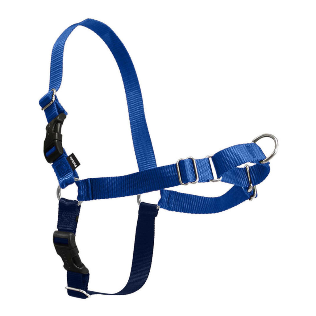 PetSafe Easy Walk No-Pull Dog Harness - Royal Blue Medium/Large - Front Clip Martingale Design for Pull-Free Walks