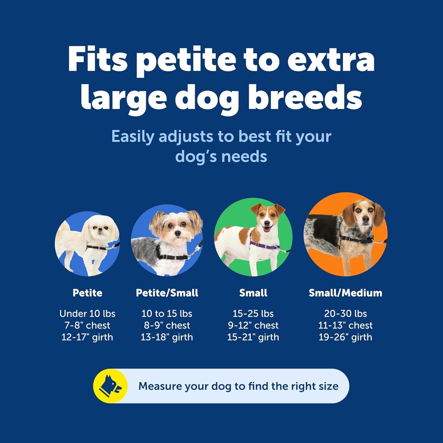 PetSafe Easy Walk No-Pull Dog Harness - Royal Blue Medium/Large - Front Clip Martingale Design for Pull-Free Walks