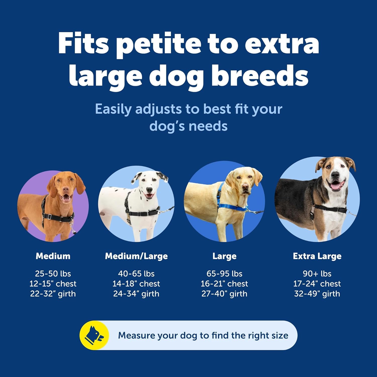 PetSafe Easy Walk No-Pull Dog Harness - Royal Blue Medium/Large - Front Clip Martingale Design for Pull-Free Walks
