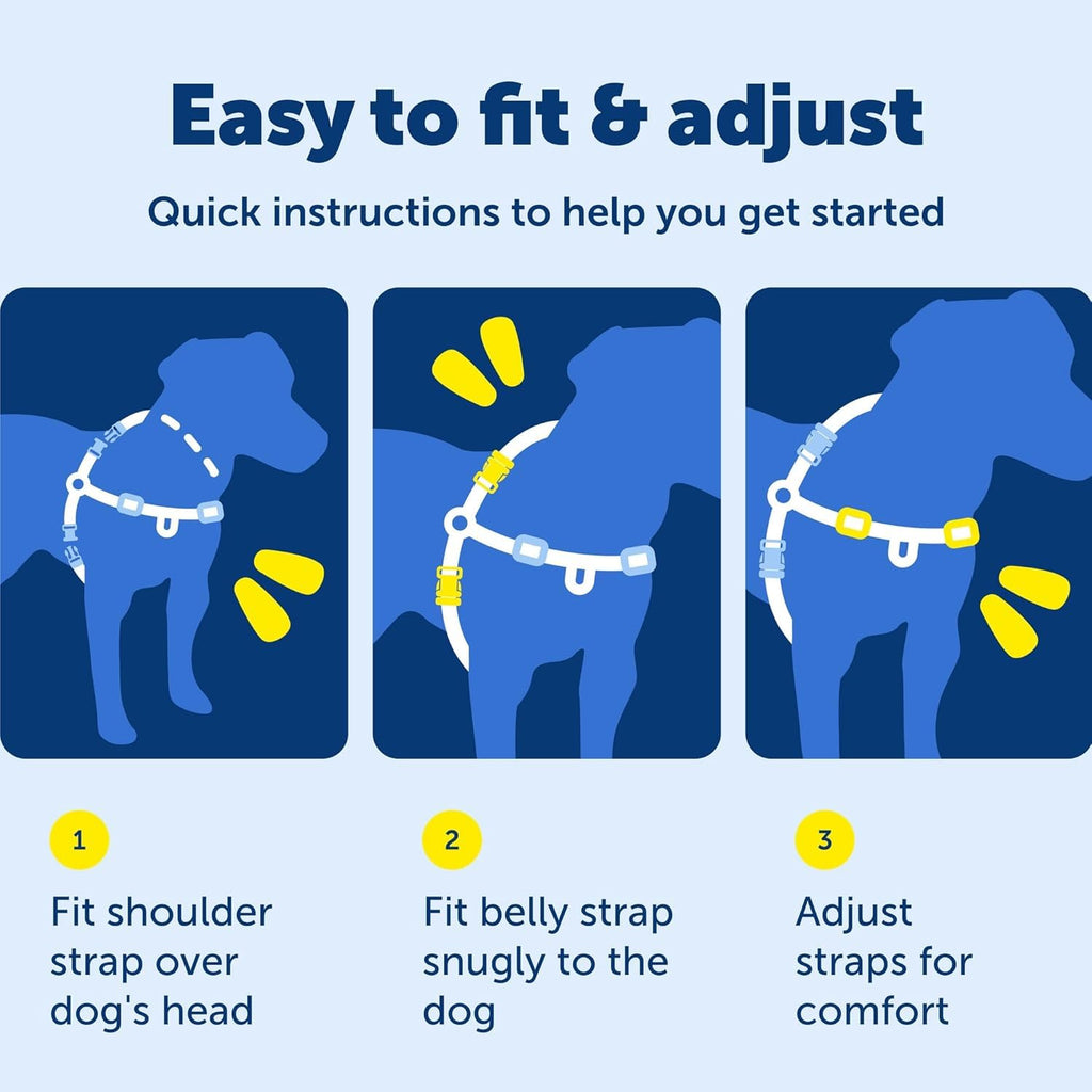PetSafe Easy Walk No-Pull Dog Harness - Royal Blue Medium/Large - Front Clip Martingale Design for Pull-Free Walks