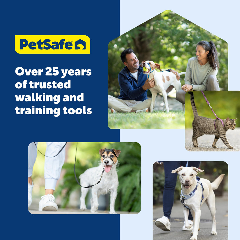 PetSafe Easy Walk No-Pull Dog Harness - Royal Blue Medium/Large - Front Clip Martingale Design for Pull-Free Walks