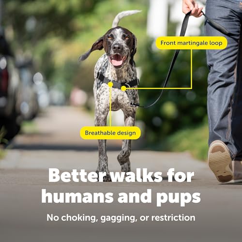 PetSafe Easy Walk No-Pull Dog Harness: Stop Pulling with Patented Martingale Loop, Gray Medium/Large