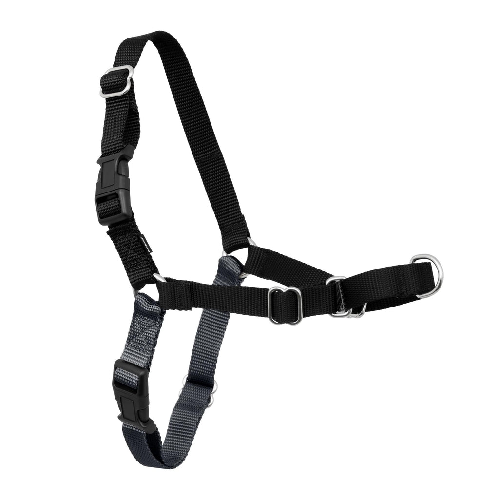PetSafe Easy Walk No-Pull Dog Harness: Stop Pulling with Patented Martingale Loop, Gray Medium/Large