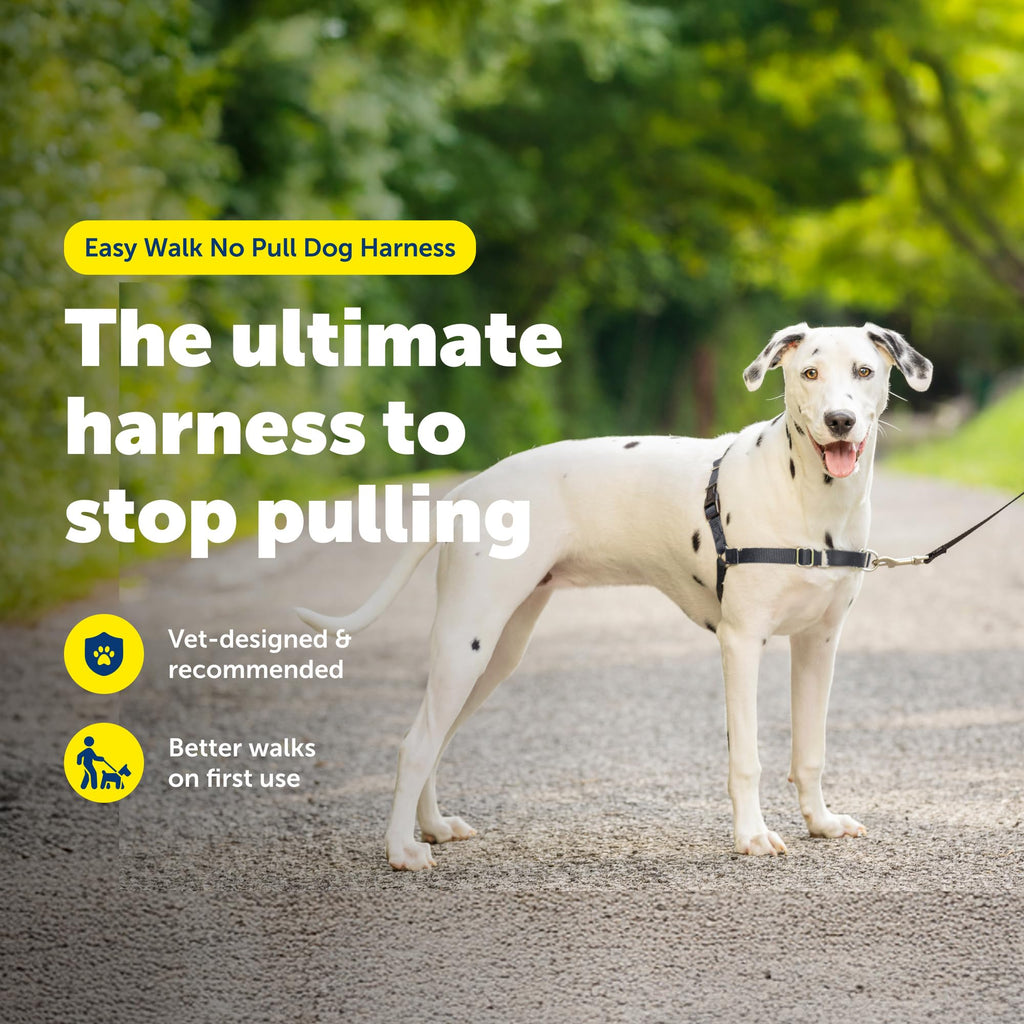 PetSafe Easy Walk No-Pull Dog Harness: Stop Pulling with Patented Martingale Loop, Gray Medium/Large