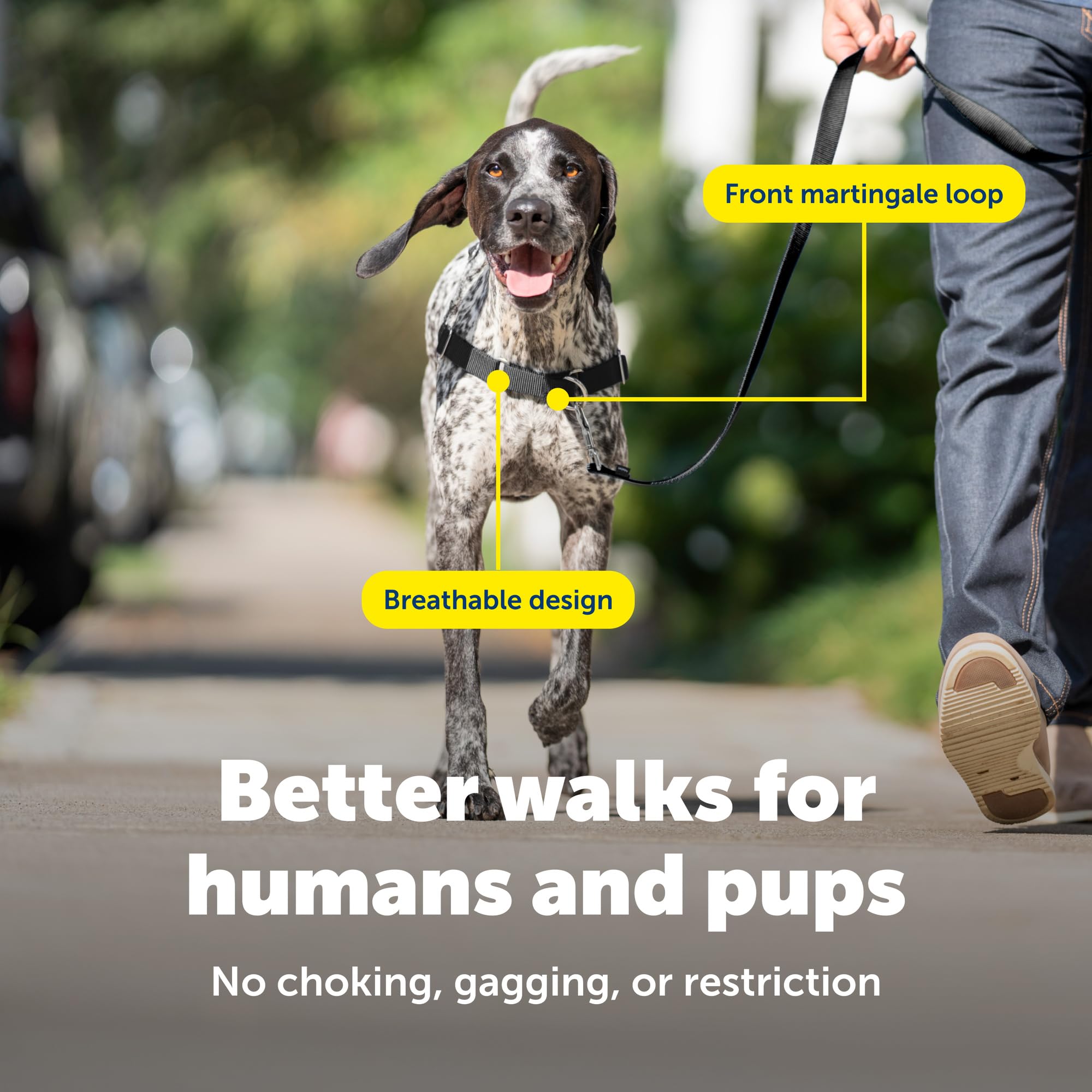 PetSafe Easy Walk No-Pull Dog Harness: Stop Pulling with Patented Martingale Loop, Gray Medium/Large
