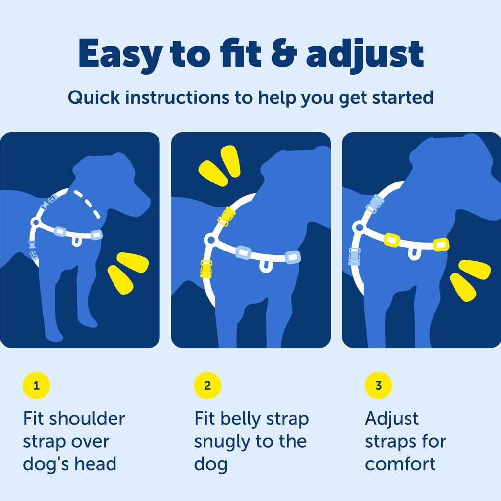 PetSafe Easy Walk No-Pull Dog Harness: Stop Pulling with Patented Martingale Loop, Gray Medium/Large