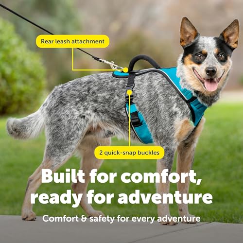 PetSafe EasySport Dog Harness - Medium Teal - Padded, Adjustable, with Reflective Piping and Top Handle