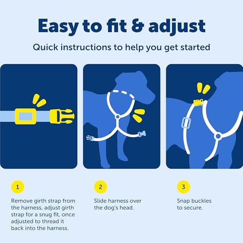 PetSafe EasySport Dog Harness - Medium Teal - Padded, Adjustable, with Reflective Piping and Top Handle