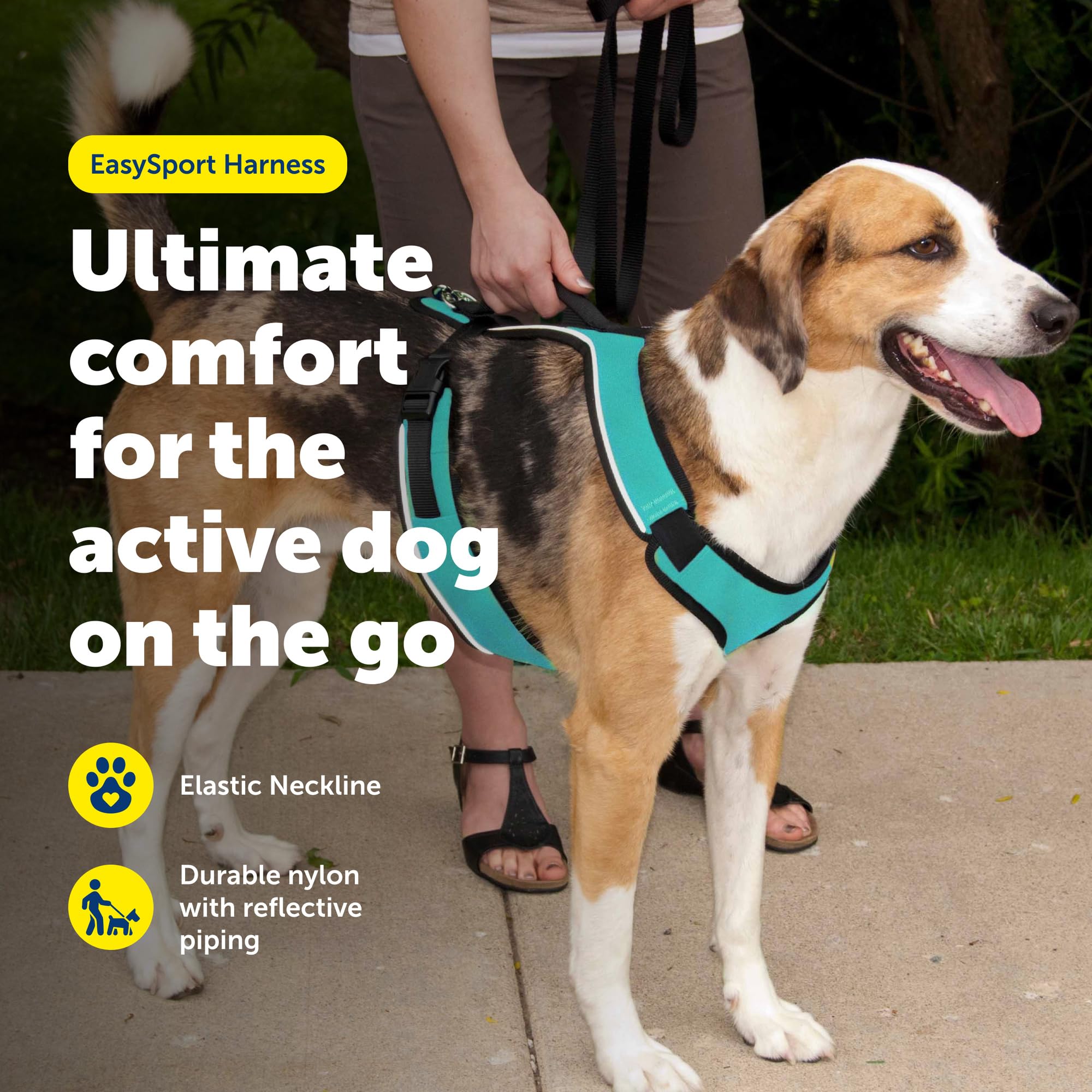 PetSafe EasySport Dog Harness - Medium Teal - Padded, Adjustable, with Reflective Piping and Top Handle