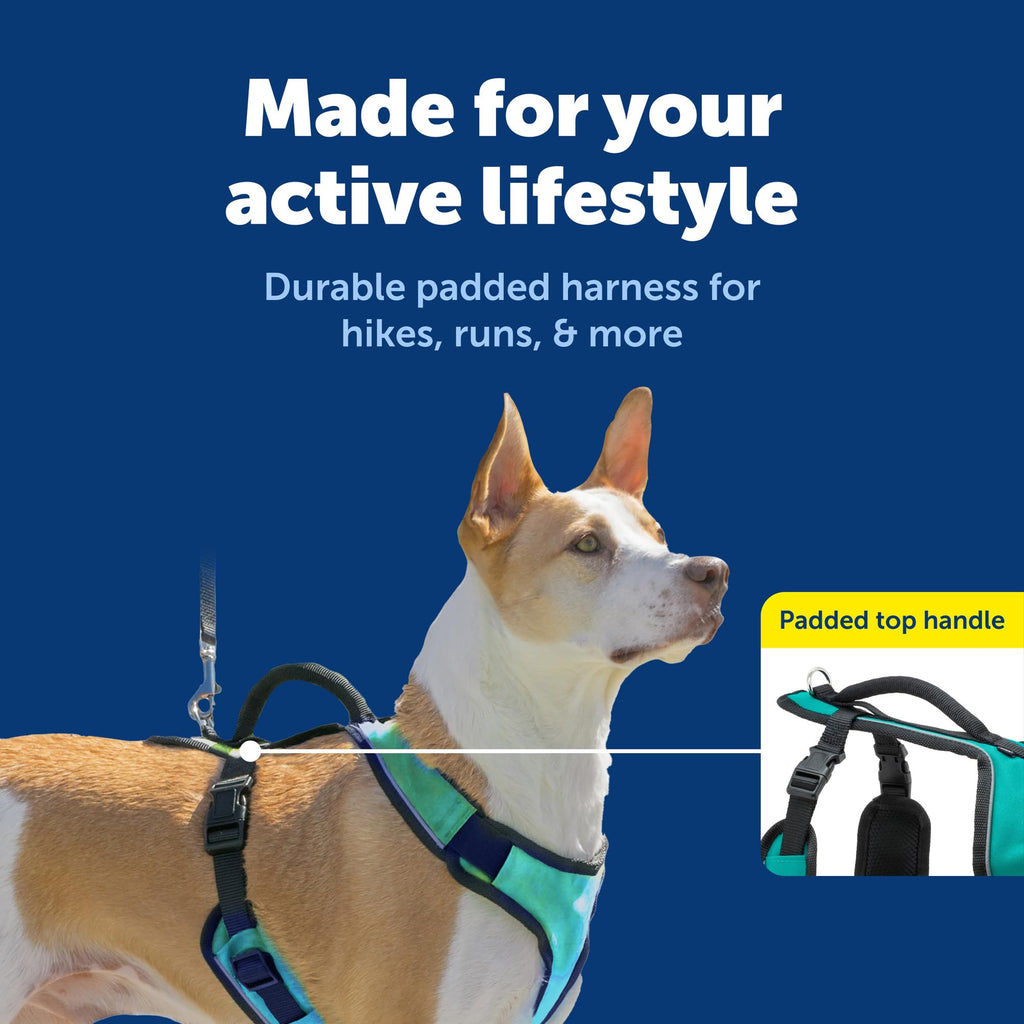PetSafe EasySport Dog Harness - Medium Teal - Padded, Adjustable, with Reflective Piping and Top Handle