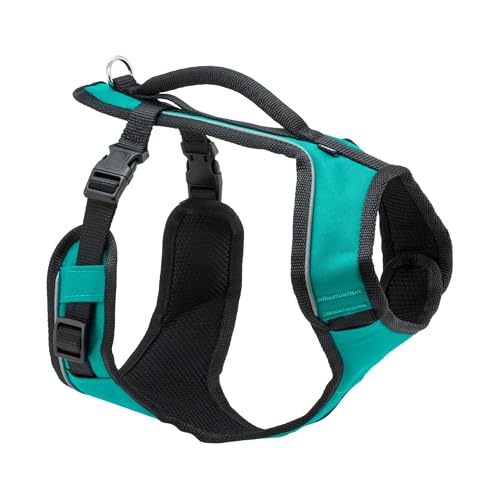 PetSafe EasySport Dog Harness - Medium Teal - Padded, Adjustable, with Reflective Piping and Top Handle