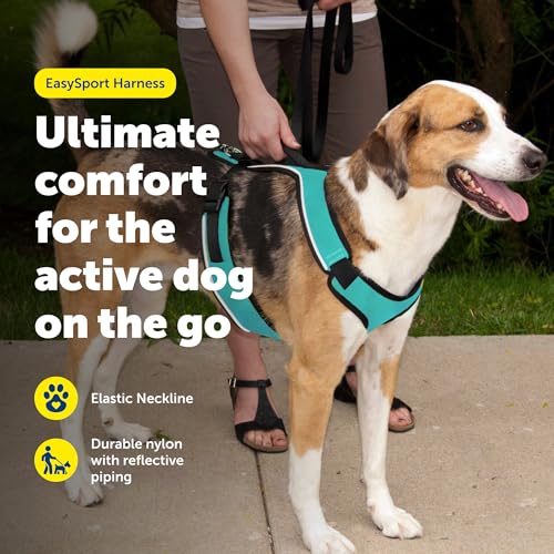 PetSafe EasySport Dog Harness - Medium Teal - Padded, Adjustable, with Reflective Piping and Top Handle