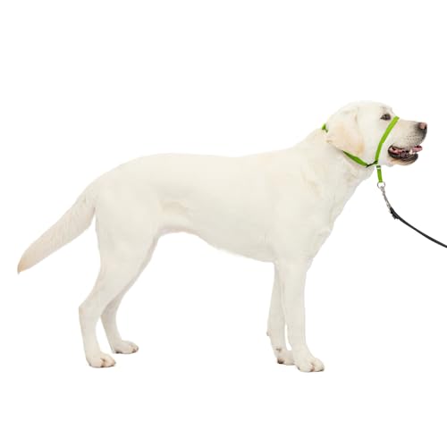 PetSafe Gentle Leader No-Pull Dog Headcollar - Large, Apple Green - Veterinary Behaviorist Designed