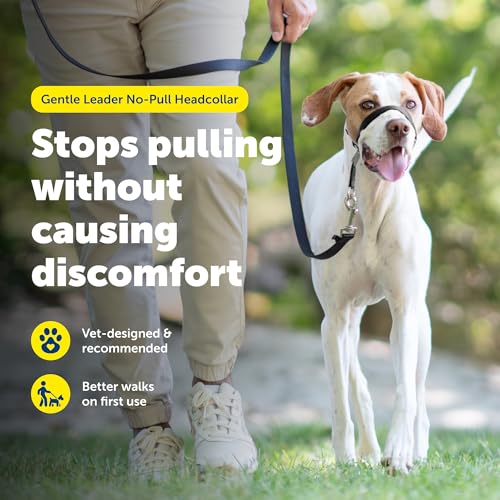 PetSafe Gentle Leader No-Pull Headcollar, Medium, Apple Green - Redirects Pulling for Easier Walks