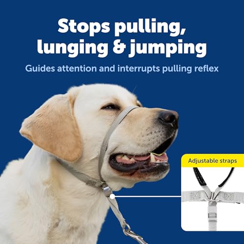 PetSafe Gentle Leader No-Pull Headcollar, Medium, Apple Green - Redirects Pulling for Easier Walks